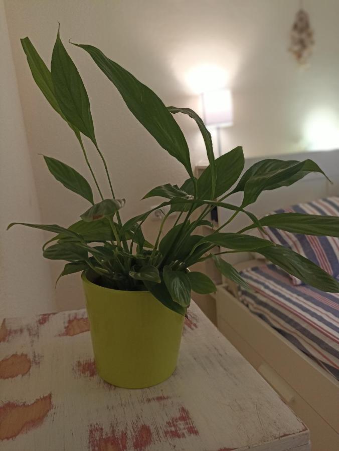 Confortable Habitacion Centrica En Piso Privado Lägenhet Málaga Exteriör bild